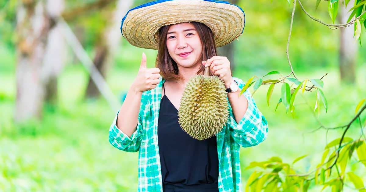 Nông dân GoViet Farm cầm sầu riêng và giơ ngón tay cái, vườn cây xanh mướt phía sau